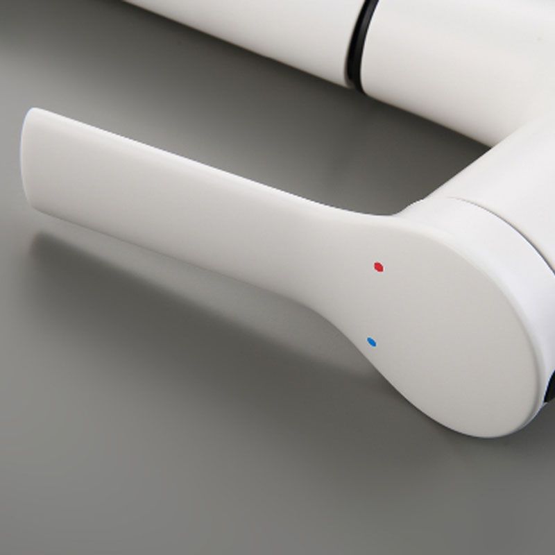 Skorter | Contemporary Single Handle Faucet Pull Out Kitchen Faucet with Lever Handle