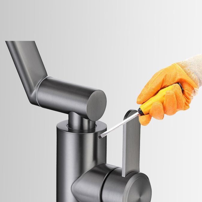 Skorter | Contemporary Centerset Faucet Lever Handles Low Arc Stainless Steel Faucet