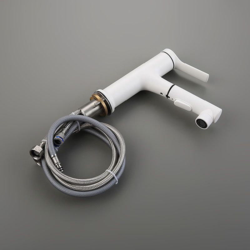 Skorter | Contemporary Single Handle Faucet Pull Out Kitchen Faucet with Lever Handle