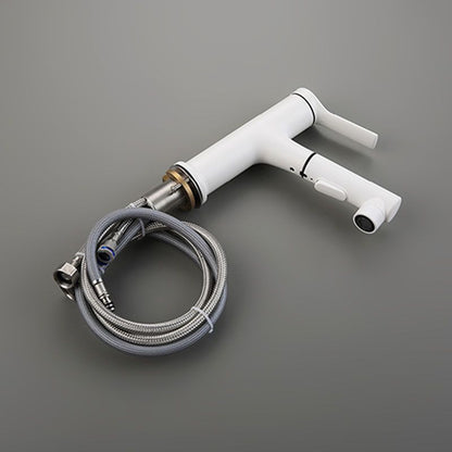 Skorter | Contemporary Single Handle Faucet Pull Out Kitchen Faucet with Lever Handle