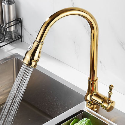 Skorter | Brushed Gold Kitchen Sink Faucet High Arc Swivel Spout with Pull-Down Spray Head