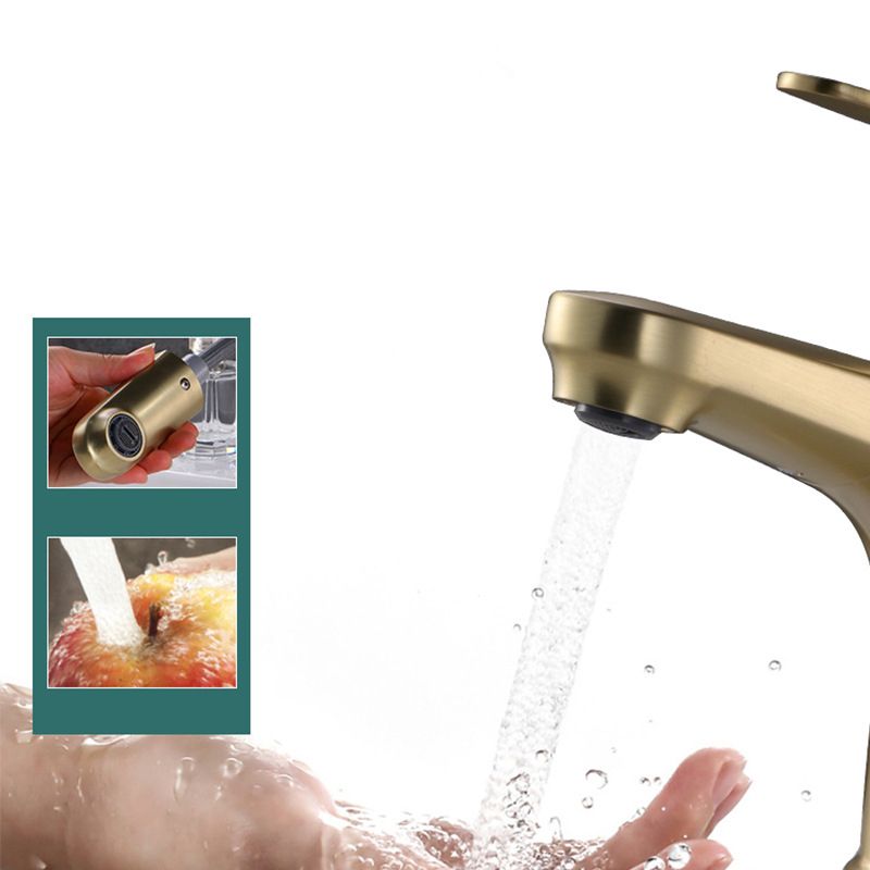 Skorter | Contemporary Basin Faucet Copper Pure Color Single Handle Pull-Out Basin Faucet
