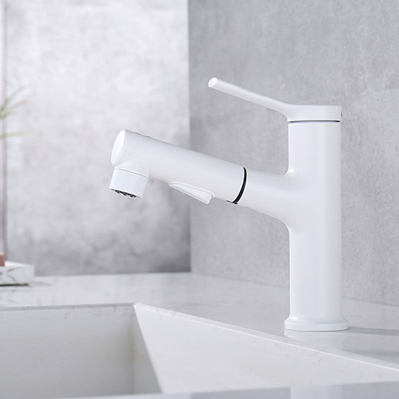 Skorter | Contemporary Single Handle Faucet Pull Out Kitchen Faucet with Lever Handle
