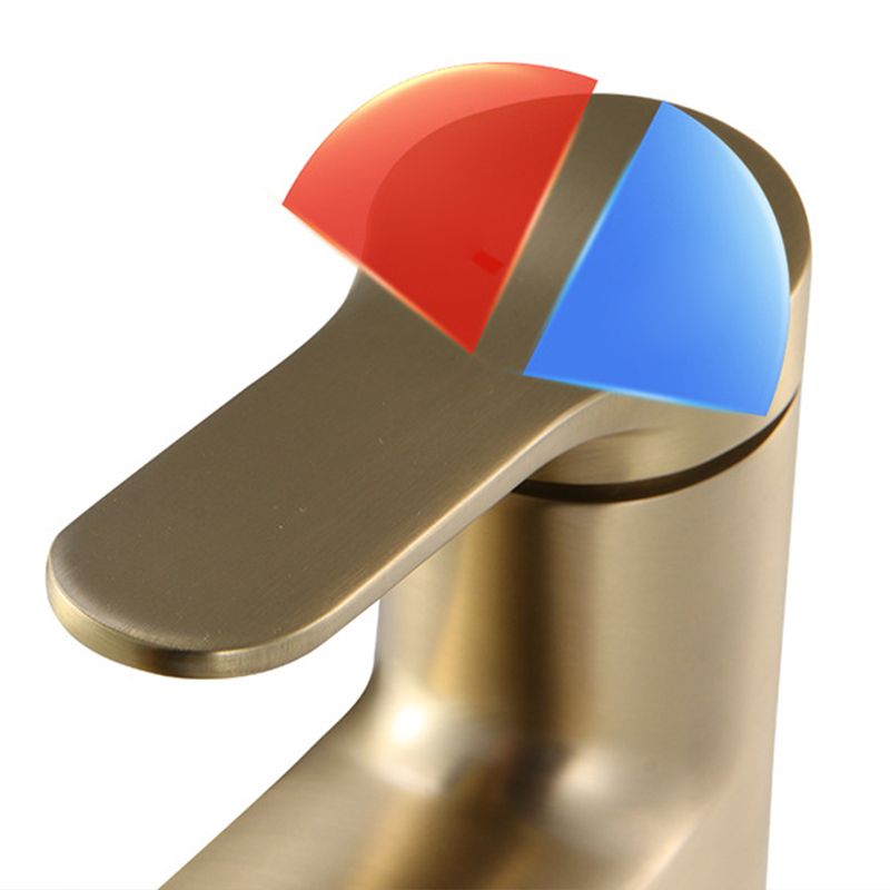 Skorter | Contemporary Basin Faucet Copper Pure Color Single Handle Pull-Out Basin Faucet