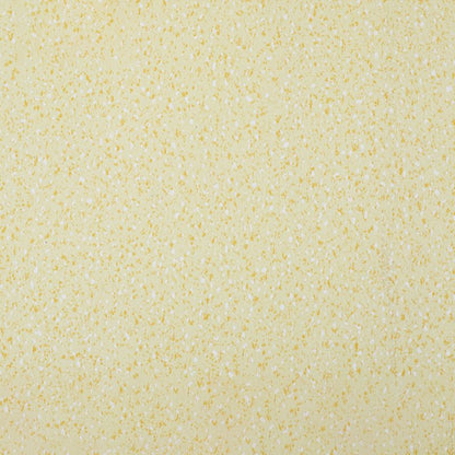 Skorter | Indoor Flooring Peel and Stick Coiled PVC 200cm Waterproof Vinyl Flooring