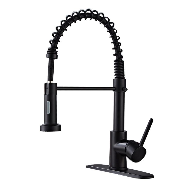 Skorter | Glam Basin faucet Brass lever fittings Spring neck three-way outlet Bathroom sink faucet