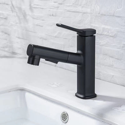 Skorter | Contemporary Vessel-Faucet Pull-out Centerset Faucet with Swiveling Spout