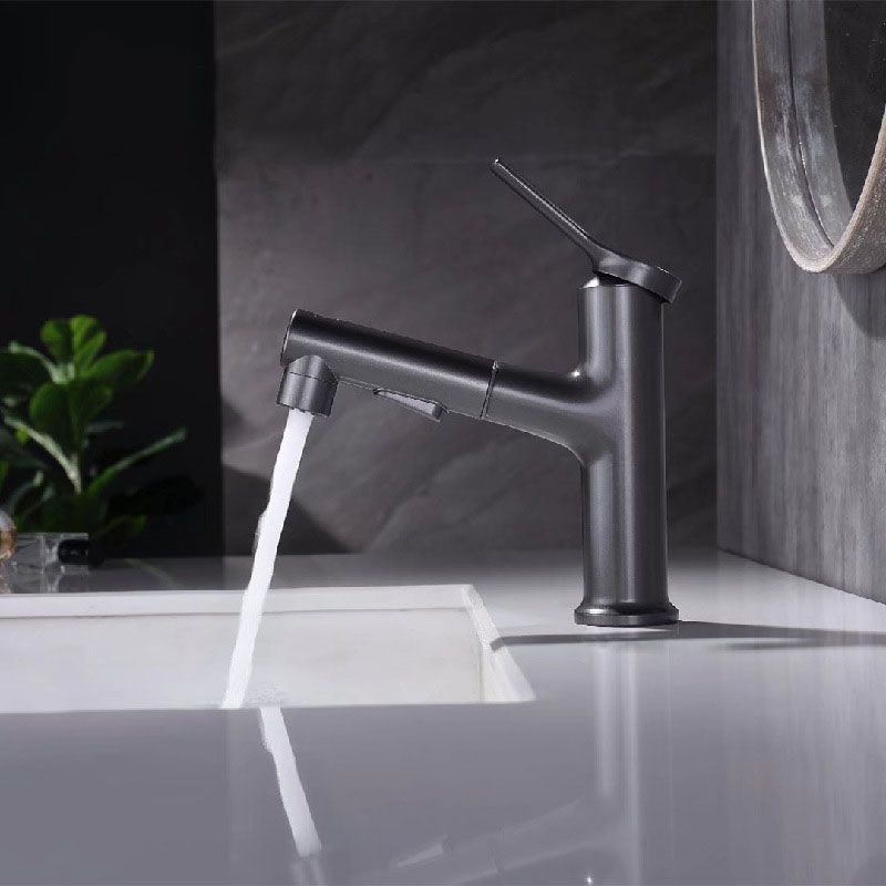 Skorter | Contemporary Single Handle Faucet Pull Out Kitchen Faucet with Lever Handle