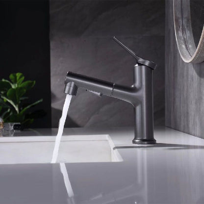 Skorter | Contemporary Single Handle Faucet Pull Out Kitchen Faucet with Lever Handle