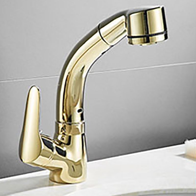 Skorter | Vessel Sink Bathroom Faucet with Swivel Spout Single Handle Faucet with Pull-Out Spray