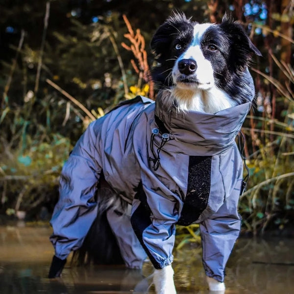 Skorter | Dog Rain Coat with Legs - Waterproof Dog Jacket for Small and Large Breeds | UK Cozy Winter Wear