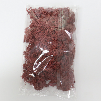 Skorter | Artificial Moss for Landscaping – Moss and Flowers for Decoration and Floristry