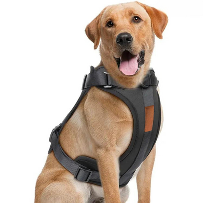 Skorter | ComfyPaws Dog Harness Walking Set with Leash and Poop Bag Holder