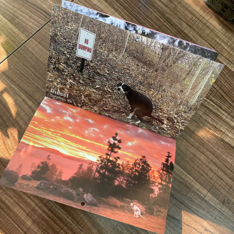 Skorter | Pooping Pooches Dog Calendar