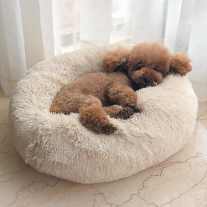 Skorter | Calming Dog Bed