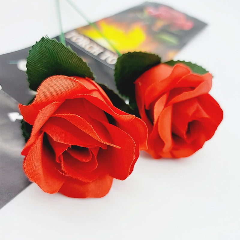 Skorter | Fire Magic Trick Flame