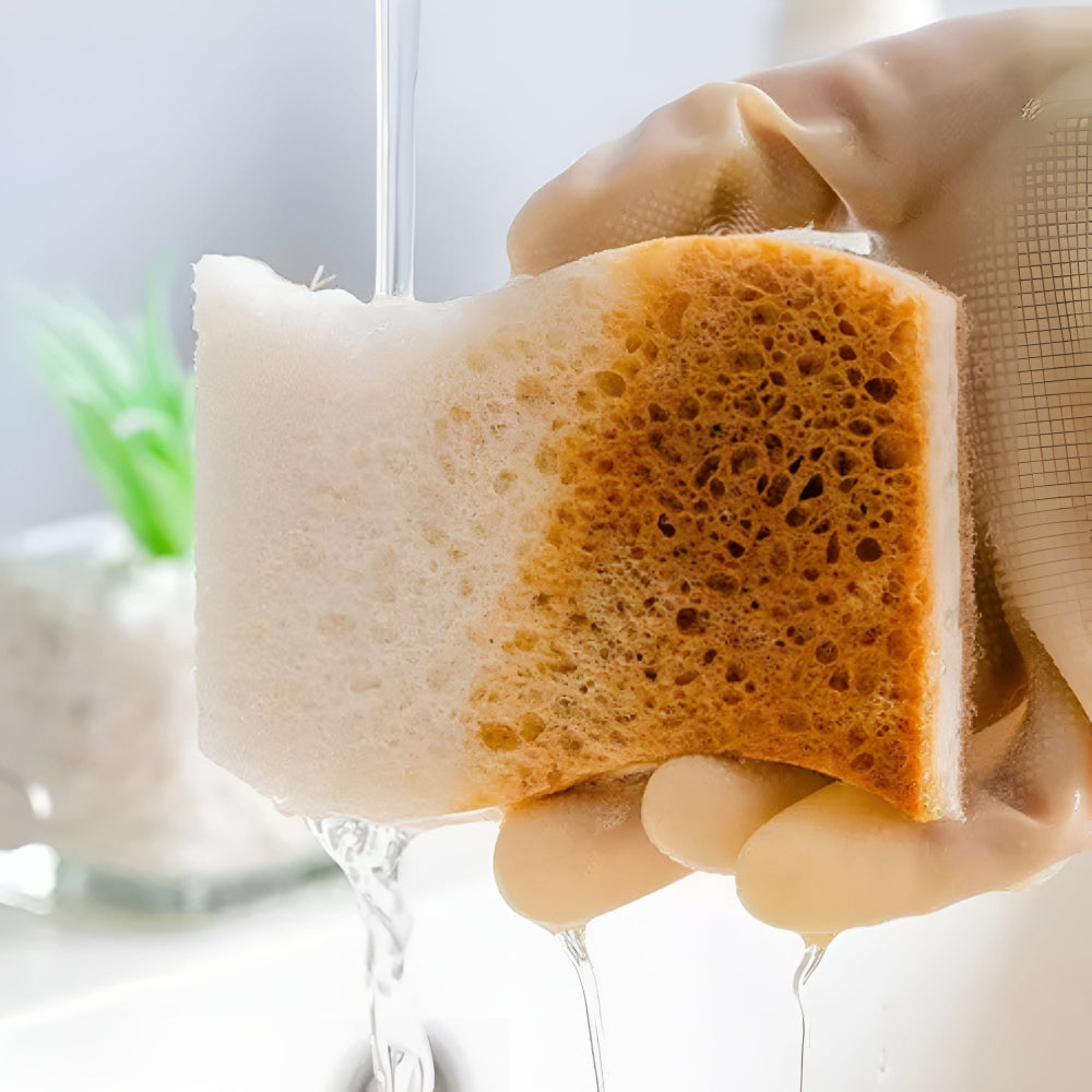 Skorter | Coconut Fiber Natural Dish Sponge