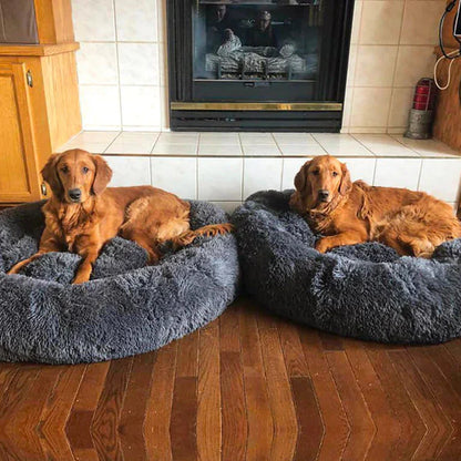 Skorter | Calming Dog Bed