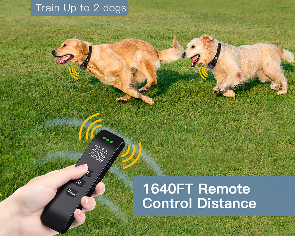 Skorter | Dog Collar No Shock