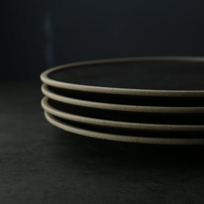 Skorter carbon ceramic plates