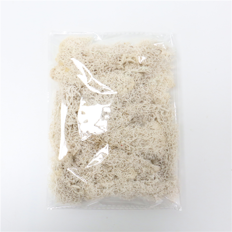 Skorter | Artificial Moss for Landscaping – Moss and Flowers for Decoration and Floristry