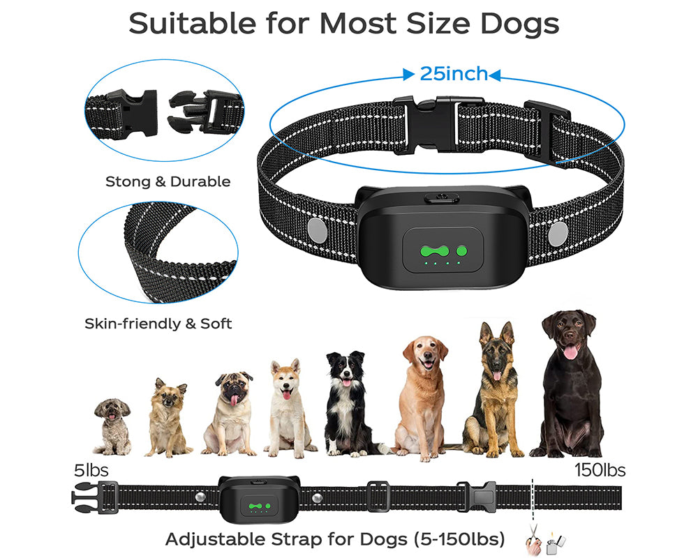Skorter | Dog Collar No Shock