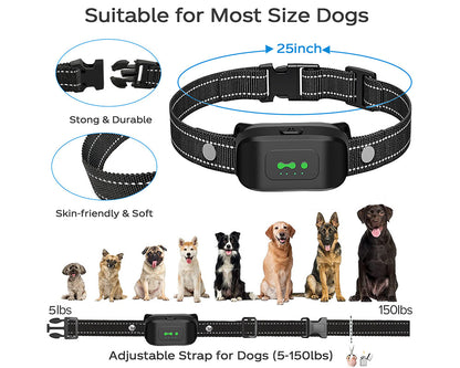 Skorter | Dog Collar No Shock