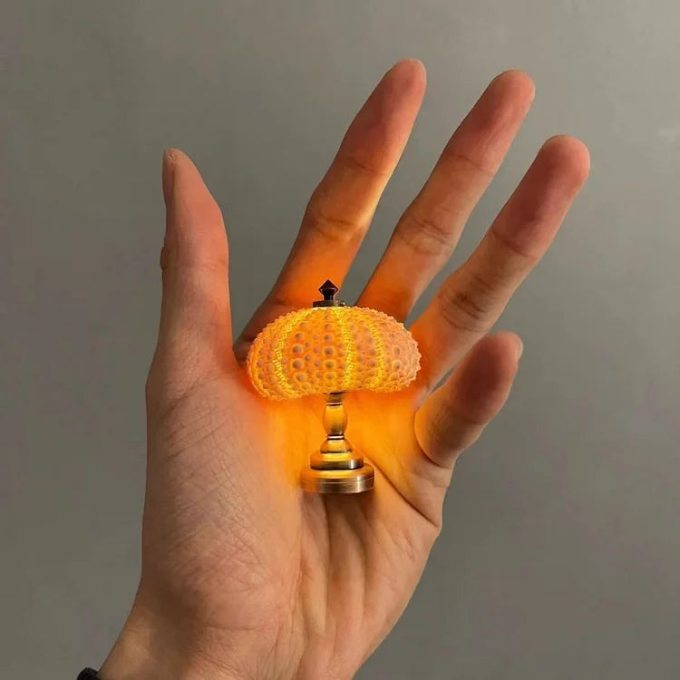 Skorter | LumiCraft – Unique DIY table lamp with natural sea shell for a cozy décor