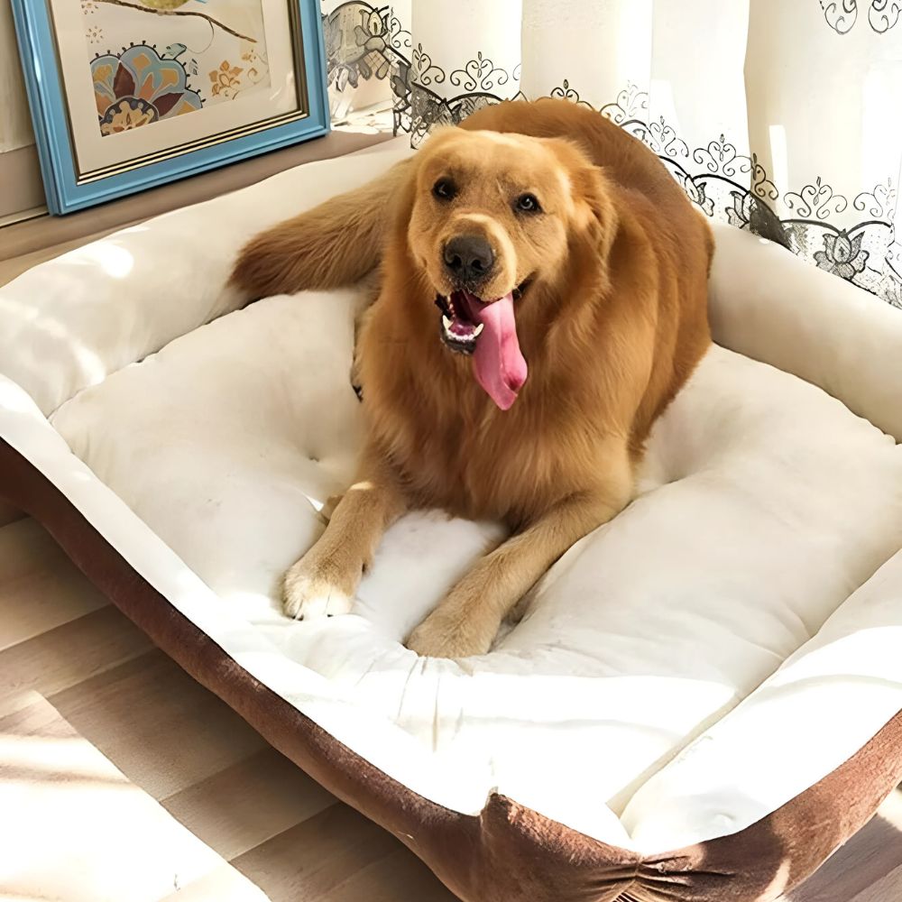 Skorter | Fluff Zone Pet Bed