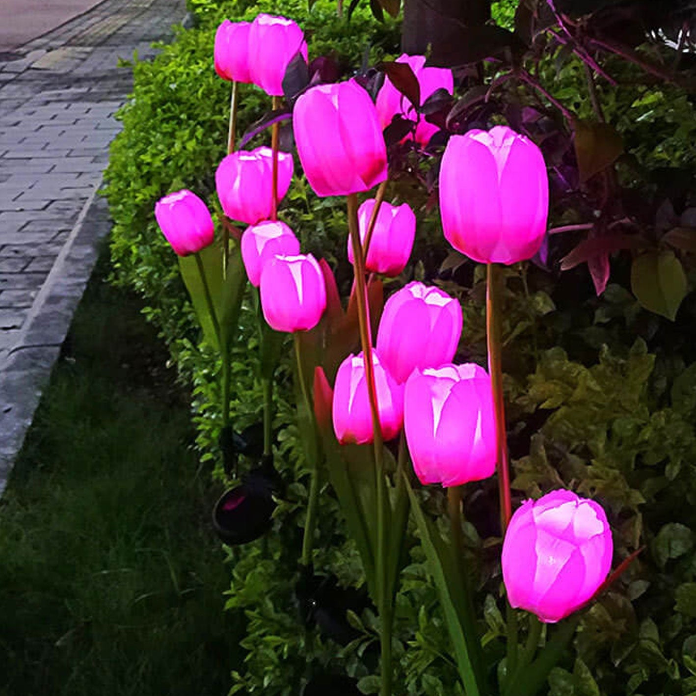 Skorter | Solar Tulip Lawn Light Outdoor Garden LED Tulip Flower Light Ground Stake Landscape Light