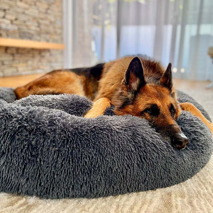 Skorter | Calming Dog Bed