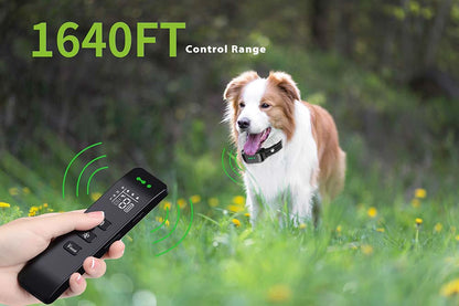 Skorter | Dog Collar No Shock