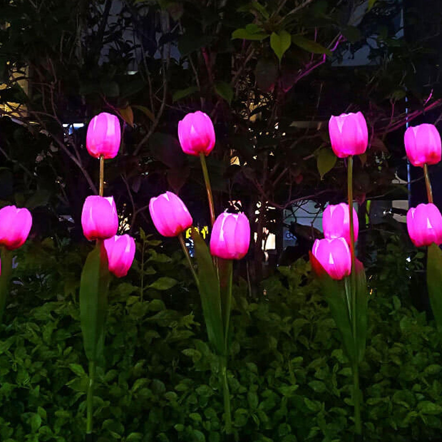 Skorter | Solar Tulip Lawn Light Outdoor Garden LED Tulip Flower Light Ground Stake Landscape Light