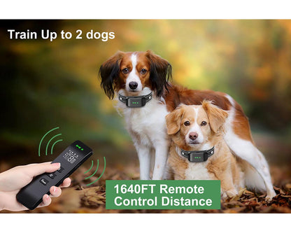 Skorter | Dog Collar No Shock