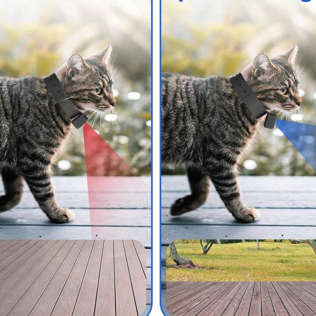 Skorter | Bärbar 160° husdjurskamera för katter och hundar med 1080P HD-video – 32 GB