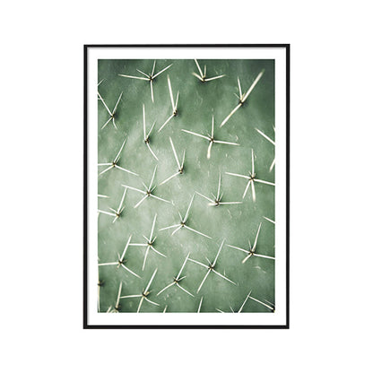 Skorter | Cactus Signs Soft Color Canvas Wall Art Print Texture, Multiple Size Options