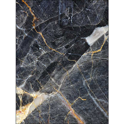 Skorter | Black Living Room Rug Modernism Marble Surface Pattern Rug Polyester Machine Washable Non-Slip Backing Rug