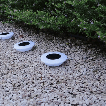 Skorter | Solar-Powered Garden Lights | Rust-Proof, Weatherproof & Ideal for Year-Round Outdoor Use