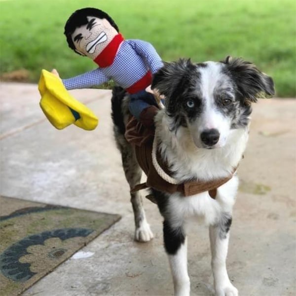 Skorter | The Cowboy Rider Dog Costume