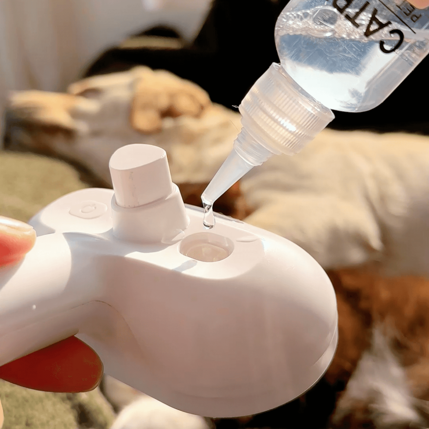 Skorter | DampfVacht Steam Brush – Gentle Care for Every Dog Coat