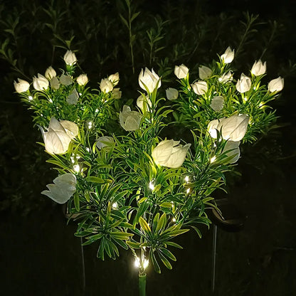 Skorter | SolarGardenia - Solar Energy LED Garden Lighting – Weather Resistant Outdoor Lamp for Garden, Balcony & Terrace