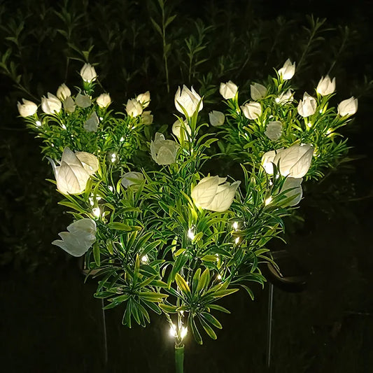 Skorter | SolarGardenia - Solar Energy LED Garden Lighting – Weather Resistant Outdoor Lamp for Garden, Balcony & Terrace