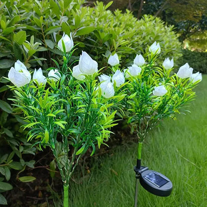 Skorter | SolarGardenia - Solar Energy LED Garden Lighting – Weather Resistant Outdoor Lamp for Garden, Balcony & Terrace