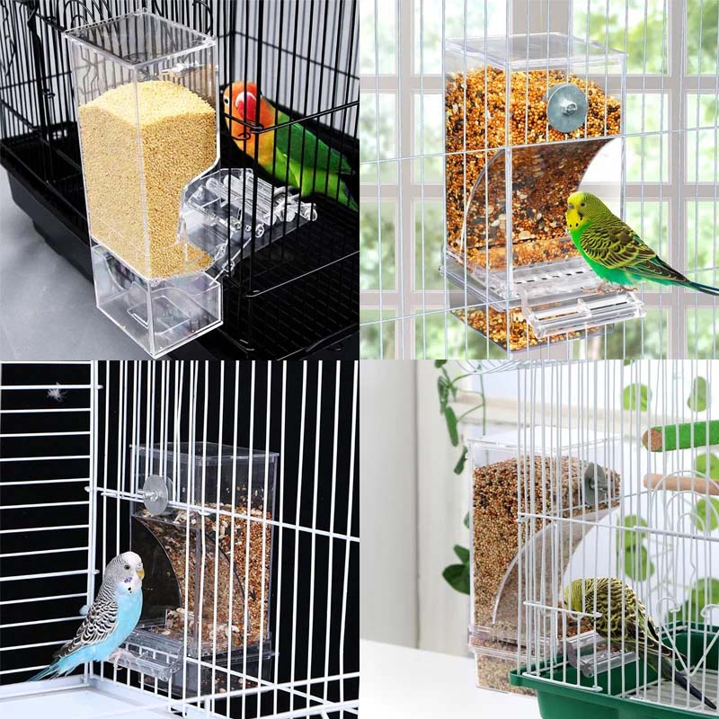 Skorter | Automatic transparent bird feeder without spills