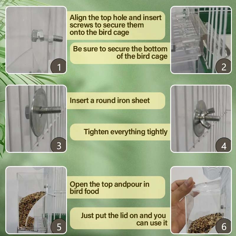 Skorter | Automatic transparent bird feeder without spills