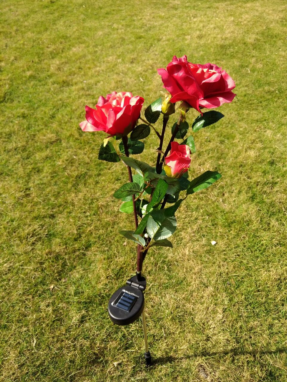 Skorter | Solar-powered rose lights – garden stakes with solar panel for decorative lighting