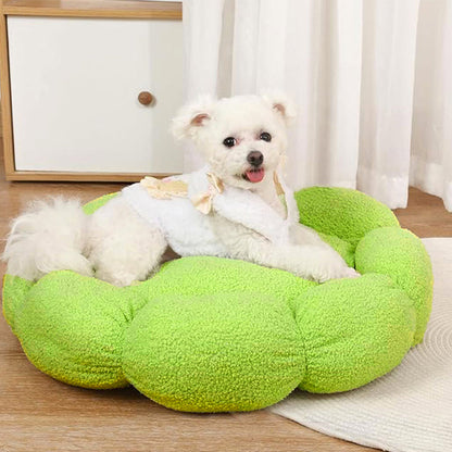 Skorter | Flower Heat Full Support Washable Decoration Dog & Cat Bed