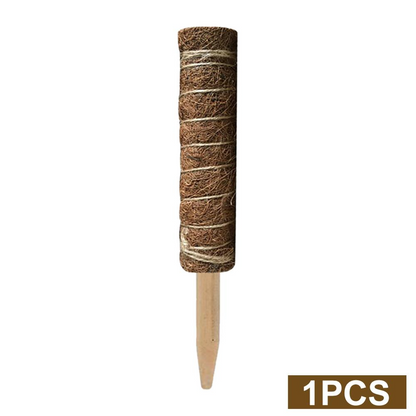 Skorter | Coconut moss stick for climbing plants – Natural climbing aid for houseplants and garden