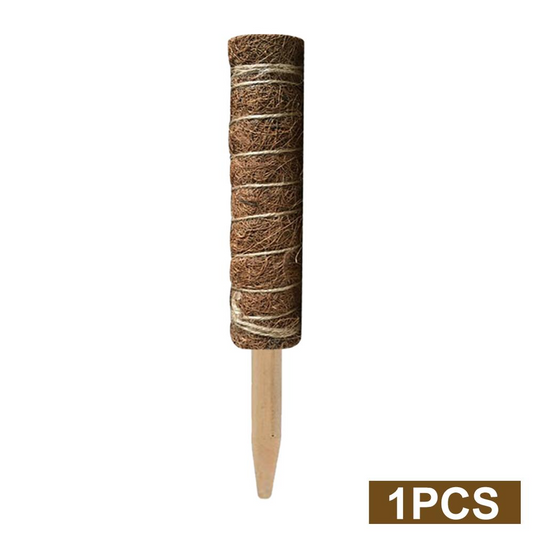 Skorter | Coconut moss stick for climbing plants – Natural climbing aid for houseplants and garden