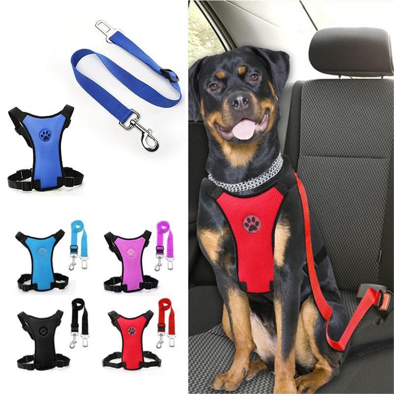 Skorter | Dog Safety Harness Set